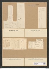 Diatomeae indet. Zeichnungen Sammlung Grunow Nr. 6264 (NHMW-BOT-W0374866)